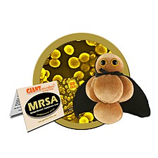 Peluche micróbio MRSA