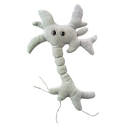 Peluche Microbe Small Neuron