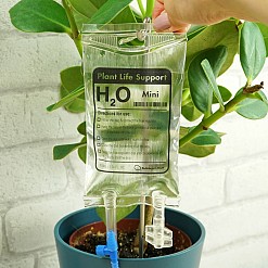 Suporte de vida para mini plantas: o sistema de auto-rega mais original para vasos de flores