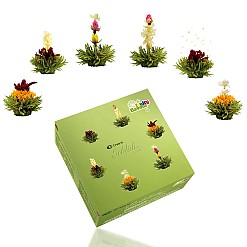 Caixa com 6 variedades de flores de chá verde