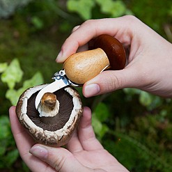 Porta-chaves multiferramenta para colheita de cogumelos