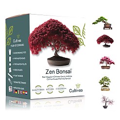Kit completo para o cultivo de bonsai