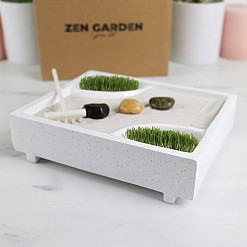 Kit de cultivo para mini-jardim zen