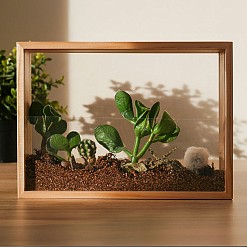 Kit para criar um mini jardim numa moldura de madeira