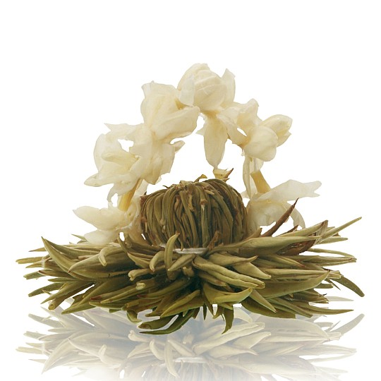 Chá branco com flores de jasmim