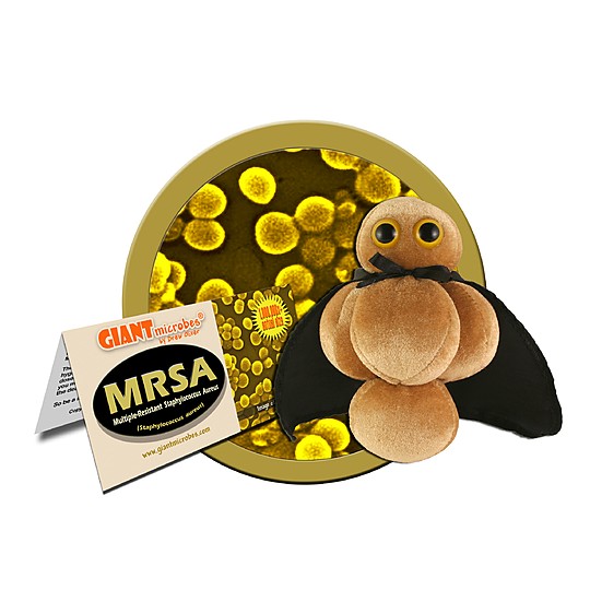 Brinquedo de peluche com micróbio "MRSA