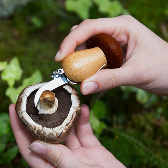 Porta-chaves multi-ferramenta para apanhar cogumelos