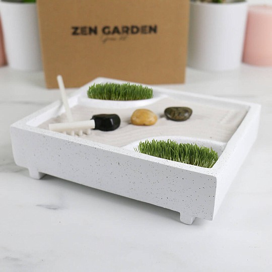 kit de cultivo para mini jardim zen