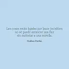 Acompanhado de frases para meditação
