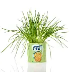 Concebido por Bitten