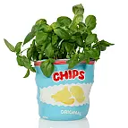 Pode ser utilizado como um pote