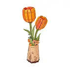Tulipa laranja