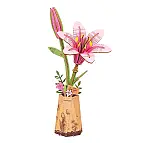 Lírio cor-de-rosa