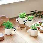 Mini vaso Monokuro com kit de cultivo em forma de animalzinho