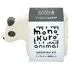 Urso panda com sementes de maçã e hortelã