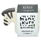 Zebra com sementes de manjericão doce