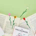 Design bonito e delicado