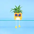 Vaso de flores original Cool Cat