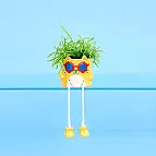 Mini plantador Cool Cat