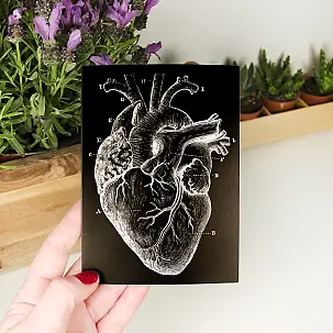 Cartão de felicitações com coração anatómico