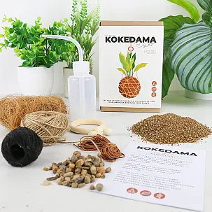 Kit para fazer um Kokedama