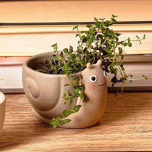 Mini vaso em forma de caracol