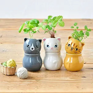 Mini jardineira auto-regativa Corocoro em forma de gatinho