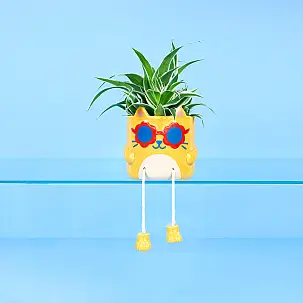 Vaso de flores original Cool Cat