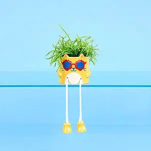 Mini plantador Cool Cat