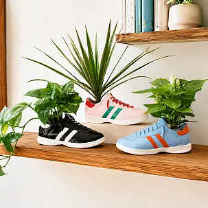 Walking Plant: vaso de plantas original em forma de ténis