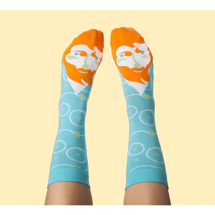 O modelo de Vincent van Toe