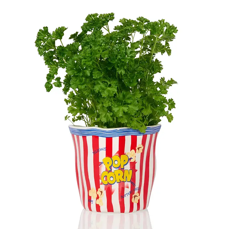 Cada modelo tem um tamanho