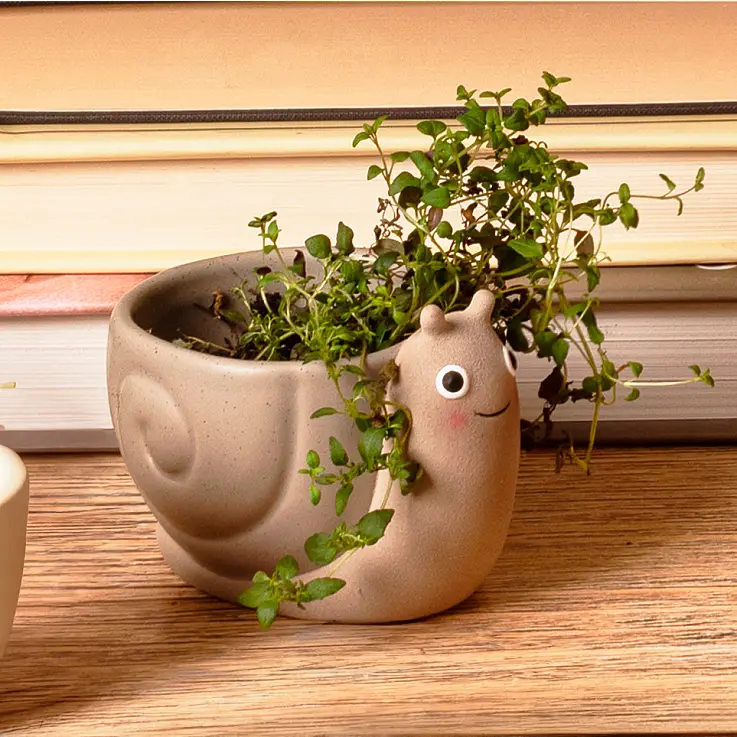 Mini vaso em forma de caracol