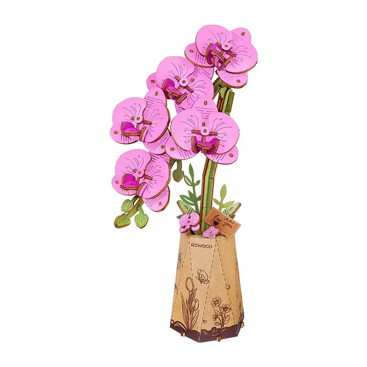 Orquídea