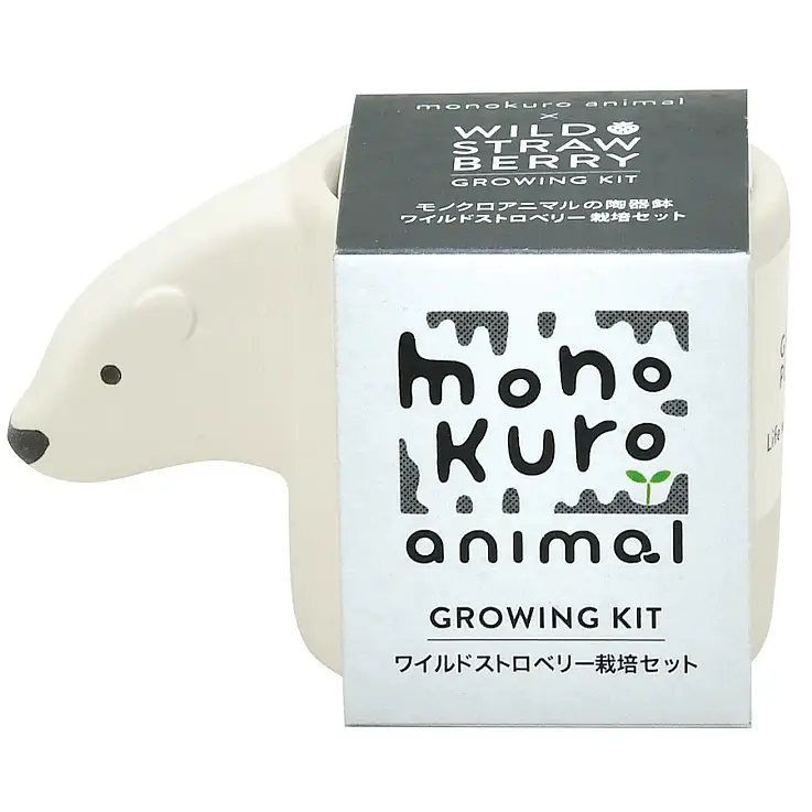 Urso polar com sementes de morango silvestre