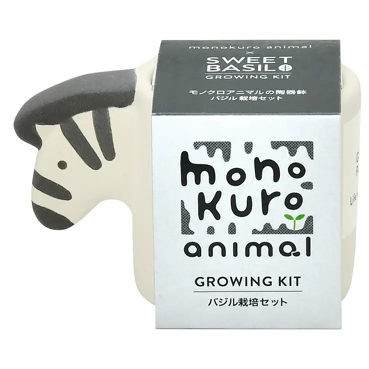 Zebra com sementes de manjericão doce