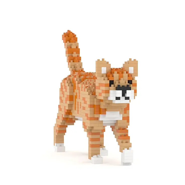 Gato malhado laranja