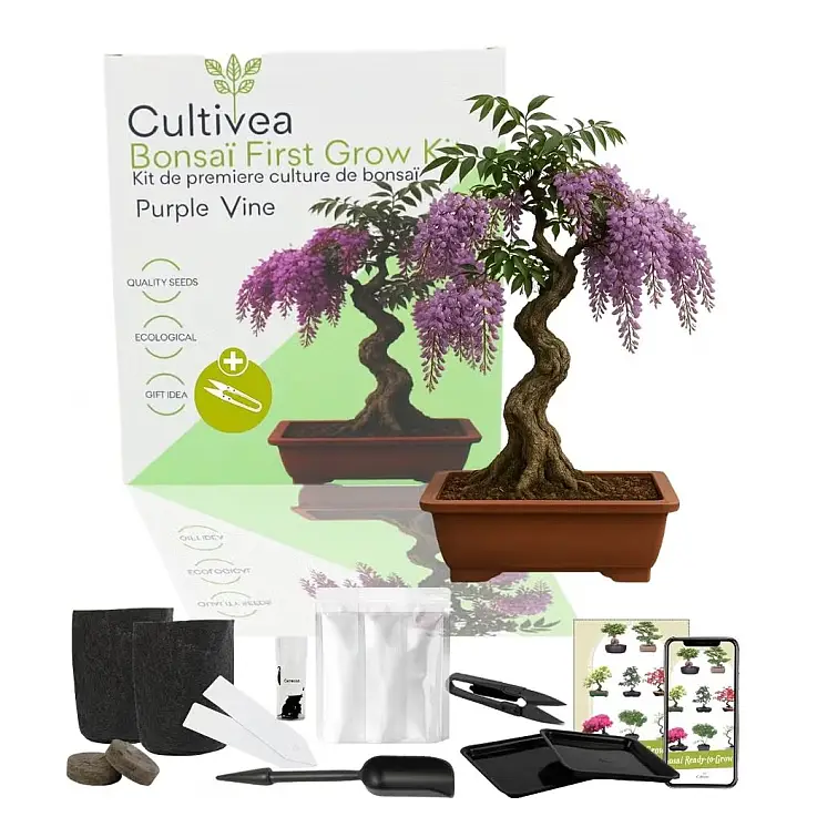 Pode ser semeado durante todo o ano