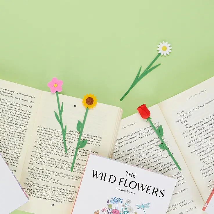 Design bonito e delicado