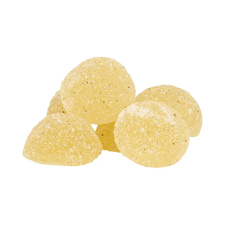 100% vegan e sem glúten