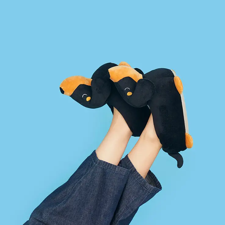 Disponíveis em duas cores: preto e castanho